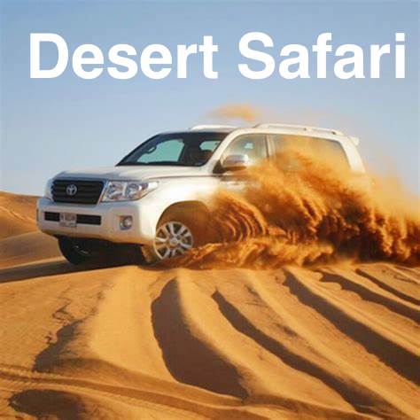 desert safari booking