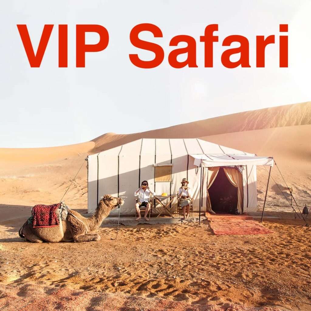 which is better safari or vip